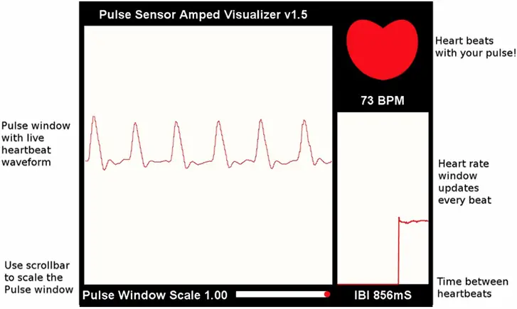pulse sensor processing visualizer output